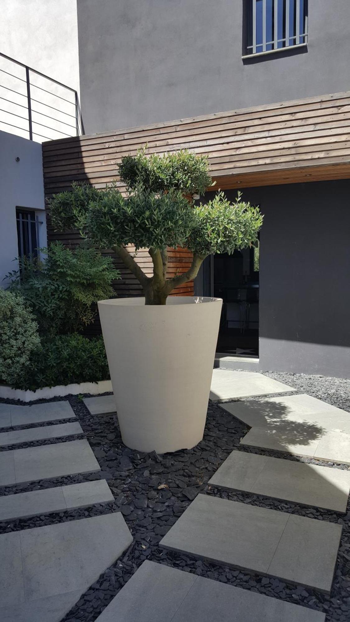 Villa Montpellier Kültér fotó